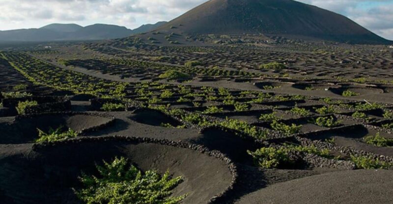 Lanzarote: Full Day Bus Tour with Scenic Views - Starting the Day with Timanfaya National Park
