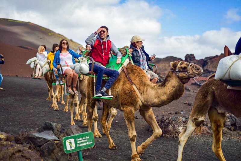 Lanzarote: Full-Day Island Highlights Tour - Past Reviews and Highlights