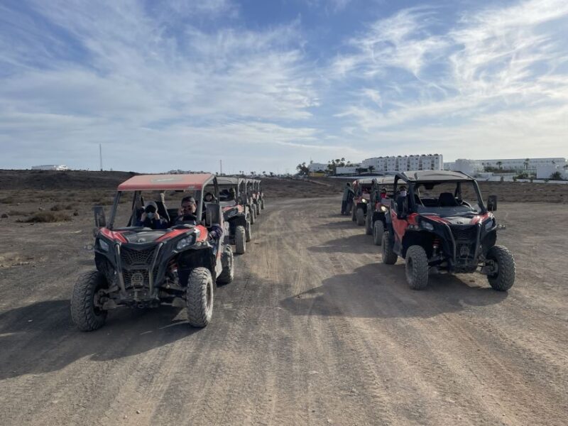Lanzarote: Guided Can-Am Trail Buggy Tour - What the Guide Explains During the Tour