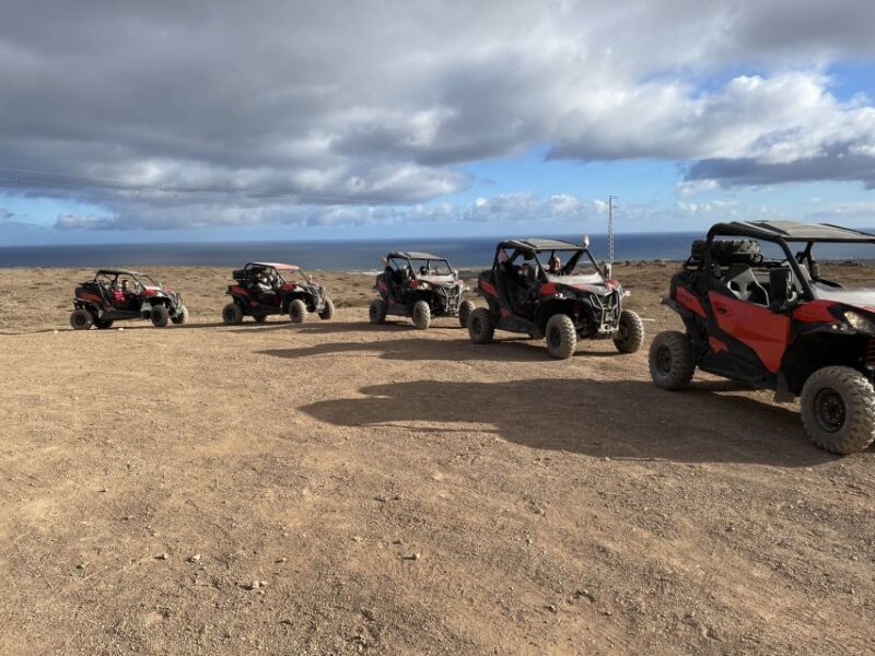 Lanzarote: Guided Can-Am Trail Buggy Tour - Customer Feedback and What Makes This Tour Popular
