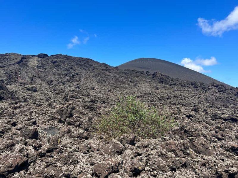Lanzarote: Guided Hike discover volcano history and culture - The Expertise and Approach of the Guides