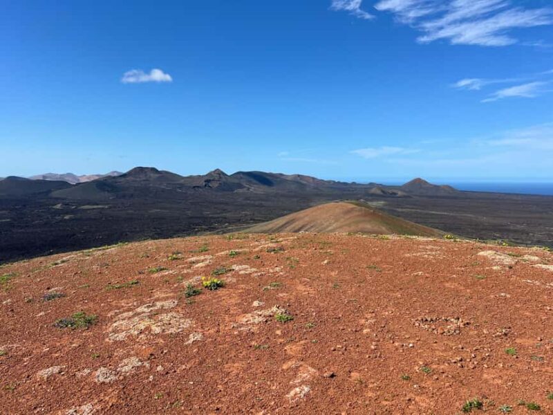 Lanzarote: Guided Hike discover volcano history and culture - What Makes This Tour Stand Out