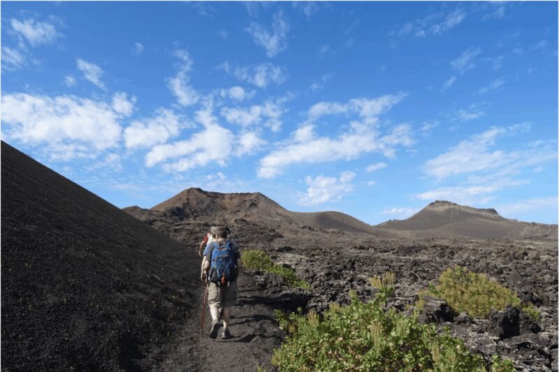 Lanzarote: Hike Across Timanfaya's Volcanic Landscapes - The Guide’s Knowledge and Approach