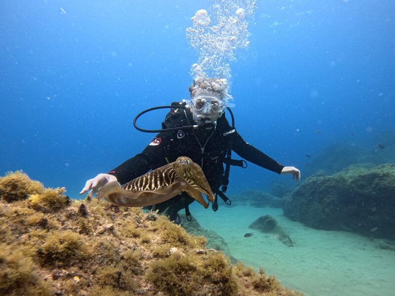 Lanzarote: Intro to Diving Experience for Beginners - The Role of the Guides: Patience, Clarity, and Support