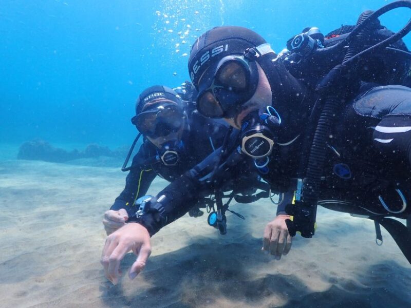 Lanzarote: Intro to Diving Experience for Beginners - Why This Tour Continues to Earn Top Ratings