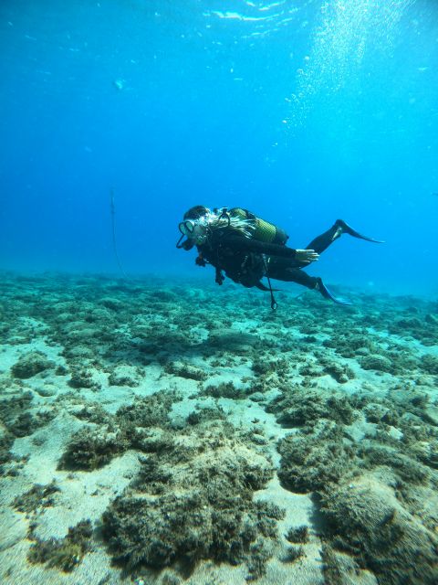 Lanzarote: Intro to Diving Experience for Beginners - Frequently Asked Questions