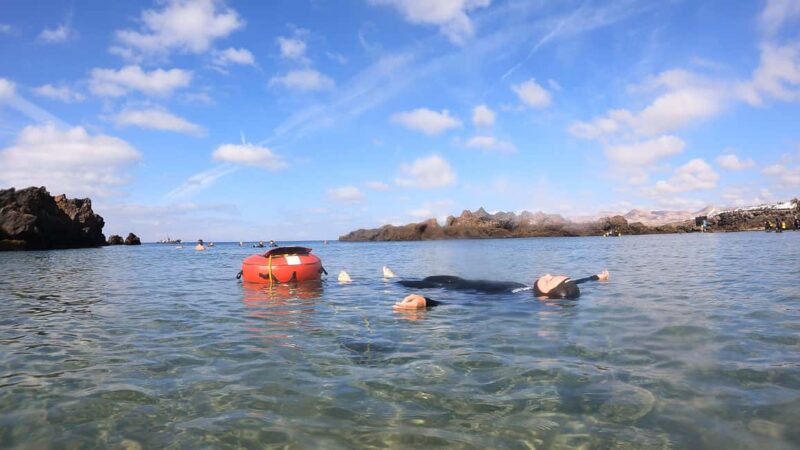 Lanzarote: Intro to Freediving Experience - Marine Life Encounters and Unique Experiences