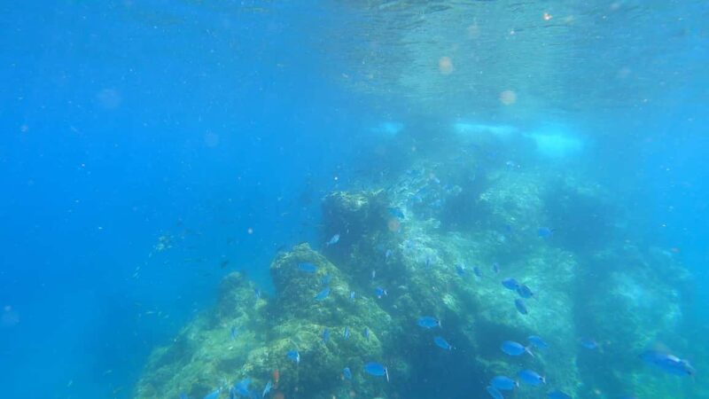 Lanzarote: Intro to Freediving Experience - The Learning Environment and Instructor Approach