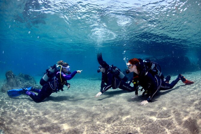 Lanzarote Introductory Scuba Diving Experience - Key Points