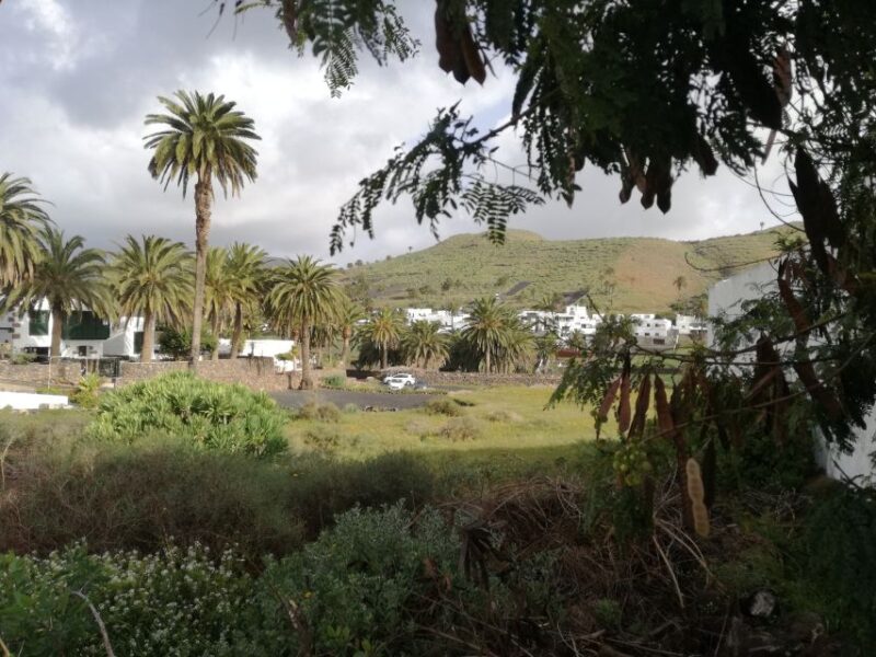 Lanzarote: Jameos del Agua & North Island for Cruise Guests - Panoramic Views from Famara Cliff