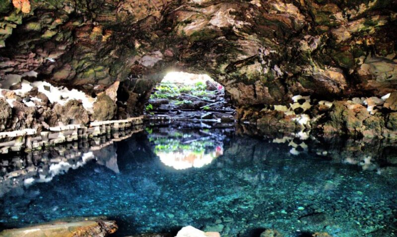 Lanzarote: Jameos del Agua & North Island for Cruise Guests - Practical Details and Amenities
