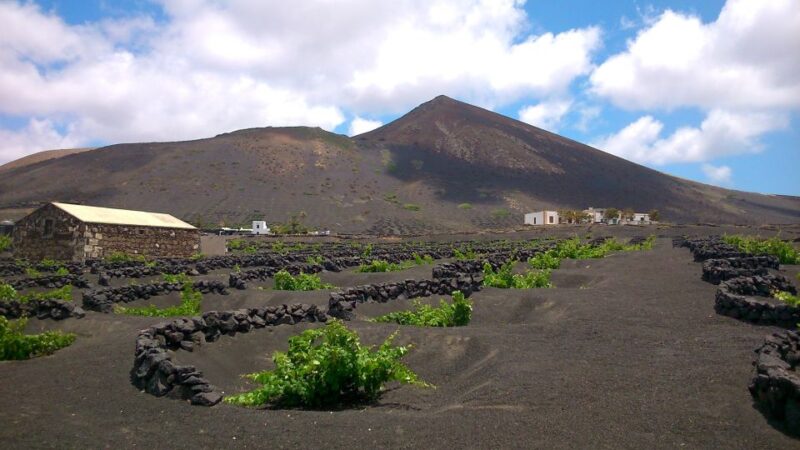 Lanzarote: La Geria Vineyards Hiking Tour - La Geria Wine Region: The Heart of Lanzarote’s Agriculture