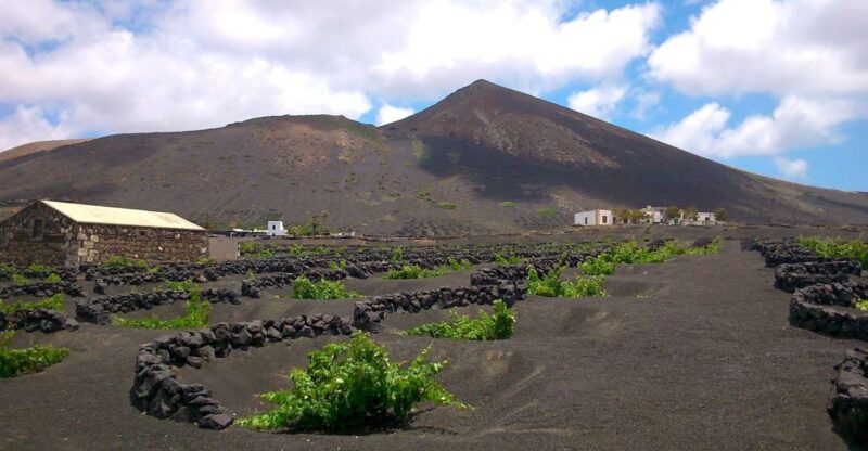 Lanzarote: La Geria Vineyards Hiking Tour - Why This Tour Stands Out from Similar Experiences