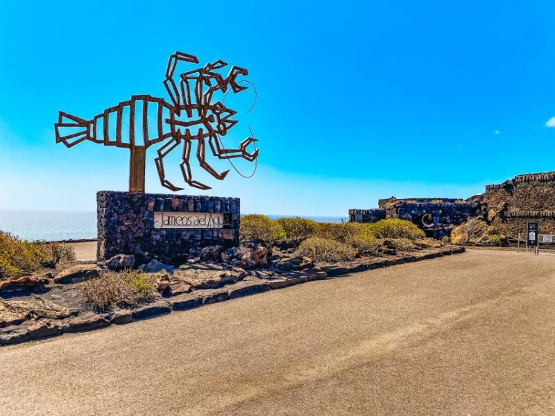 Lanzarote: Legacy of César Manrique Guided Tour - Logistics and Practical Tips