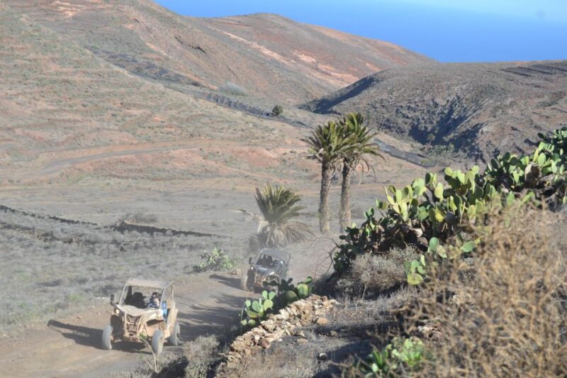 Lanzarote: Mix tour Guided Buggy Volcano Tour 4 seater - Physical Requirements and Suitability
