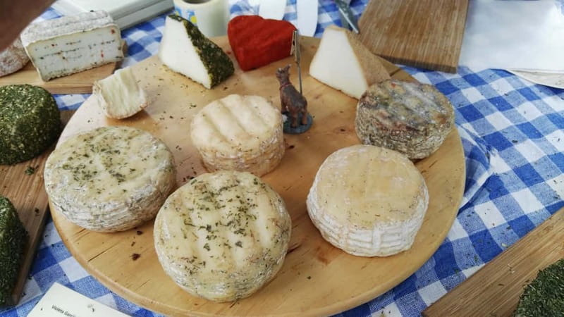 Lanzarote: Northern Cliffs & Valleys Walking tour - Practical Details and Logistics