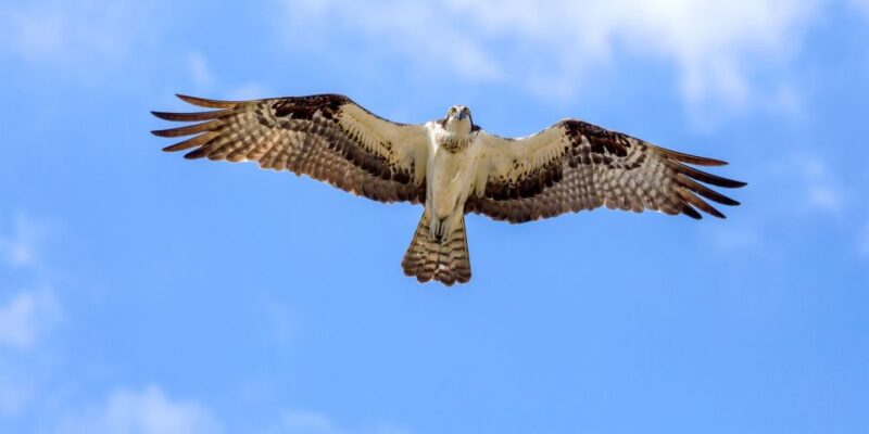 Lanzarote: Northern Cliffs & Valleys Walking tour - Tour Guides and Their Passion for Lanzarote