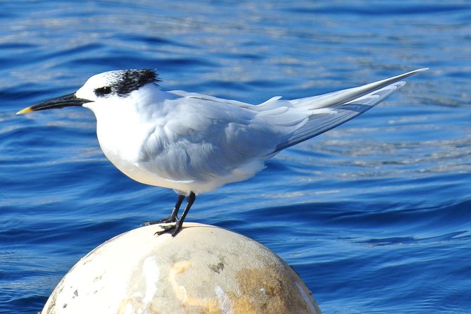 Lanzarote Sea Safari from Puerto calero - Exploring Lanzarote’s Dramatic Coastline on the Boat