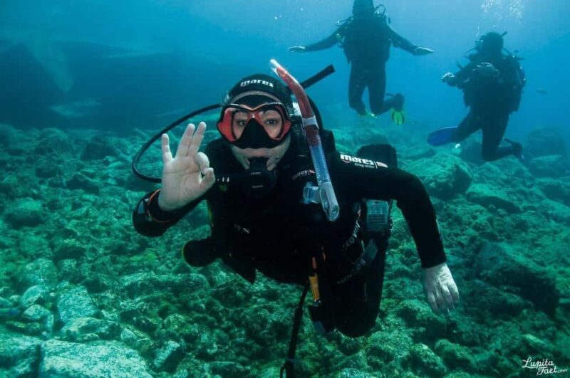 Lanzarote: Snorkeling Tour - Lanzarote: Snorkeling Tour - An Up-Close Look at Marine Life and Pristine Beaches