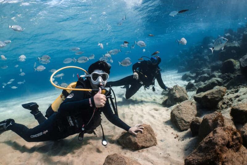 Lanzarote: SSI Scuba Diver Course with 2 Ocean Dives - Exploring Lanzarote’s Underwater World