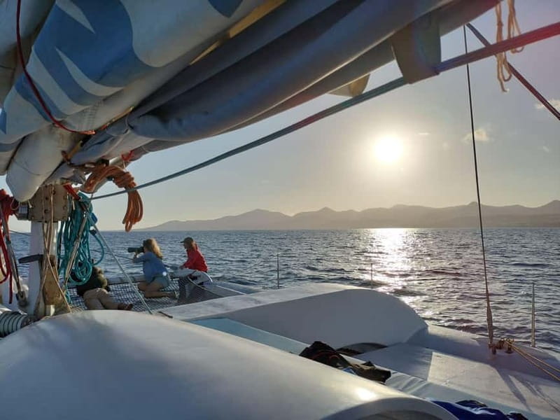 Lanzarote Sunset Experience with dolphin spotting - Meeting Point at Marina Puerto Calero