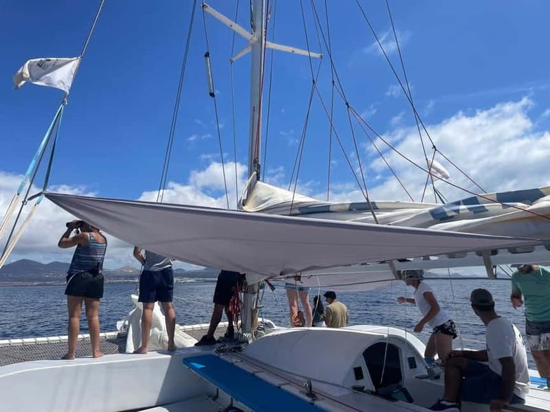 Lanzarote Sunset Experience with dolphin spotting - The Marine Sound Experience with Hydrophone Technology