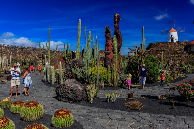 Lanzarote Tour: Lagomar Museum, Guatiza Cactus Garden & La Graciosa Island - Key Points