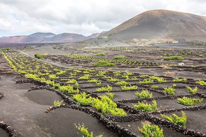Lanzarote Tour with Timanfaya National Park and El Golfo - Salinas de Janubio: Salt Flats and Landscape Views