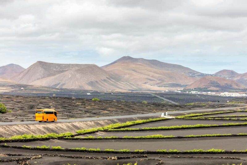 Lanzarote tour with Timanfaya National Park and El Golfo - Comparing This Tour to Similar Options