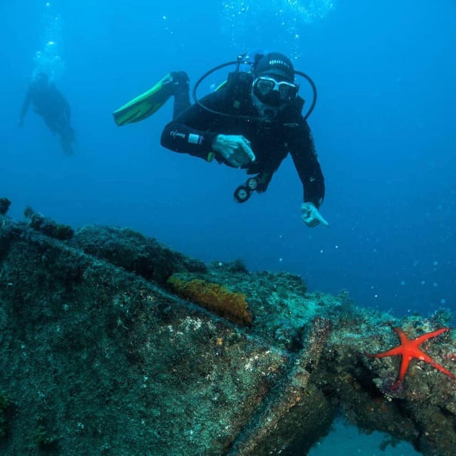 Lanzarote: Try Scuba Diving Experience - How the Dive Experience Is Structured in Lanzarote’s Waters