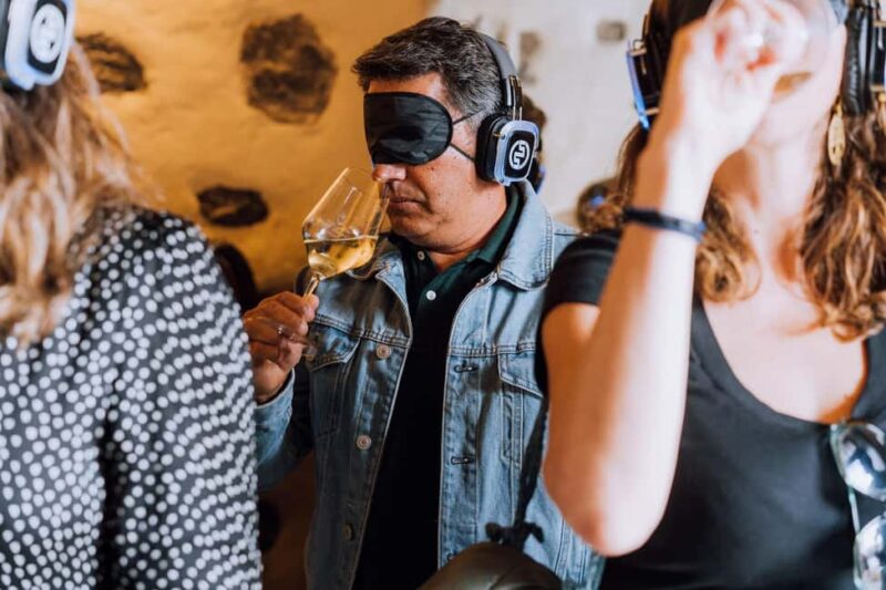 Lanzarote: Vineyard Tour & Blind Wine Tasting - Discover Lanzarote’s Unique Vineyard and Wine Experience