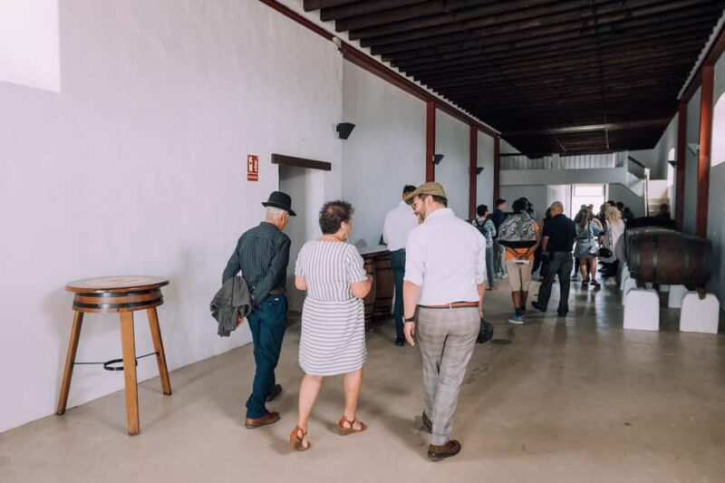 Lanzarote: Vineyard Tour & Blind Wine Tasting - Key Points