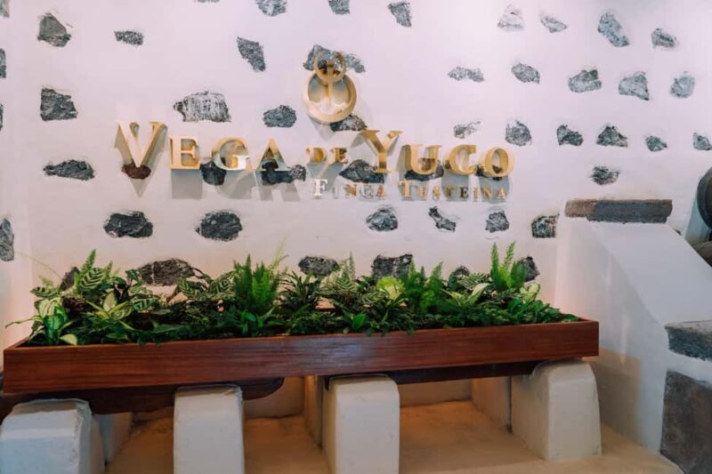 Lanzarote: Vineyard Tour & Blind Wine Tasting - Tour Highlights: Vineyards, House, and Scenic Stop