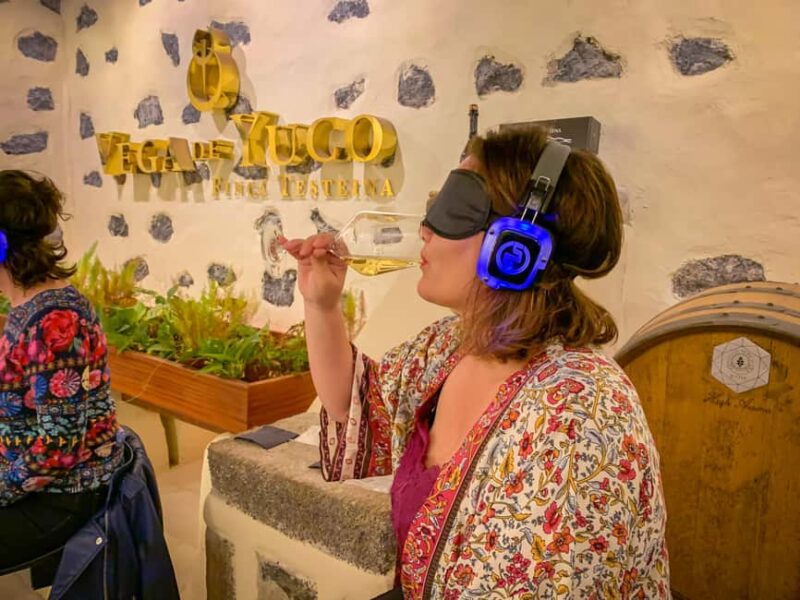 Lanzarote: Vineyard Tour & Blind Wine Tasting - The Historic Finca Testeina House