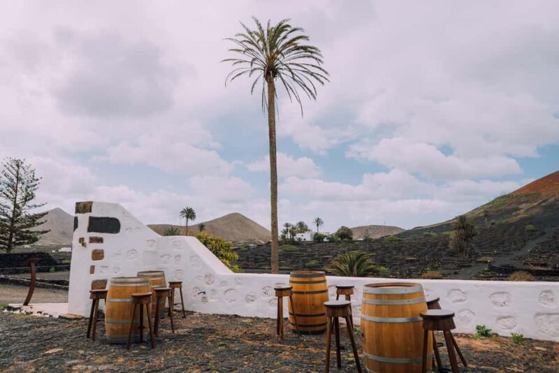 Lanzarote: Vineyard Tour & Blind Wine Tasting - The Innovative Synesthetic Wine Tasting