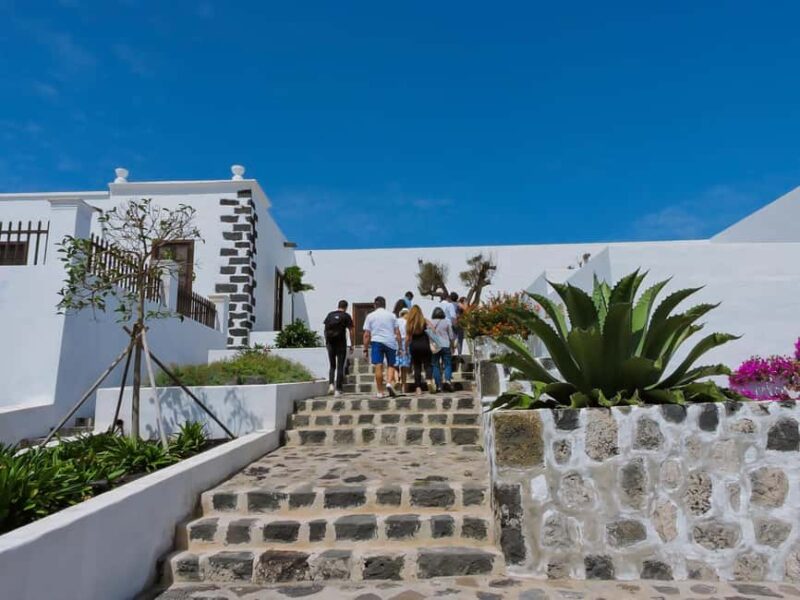 Lanzarote: Vineyard Tour & Wine Tasting with Cheese - Who Will Appreciate This Tour Most