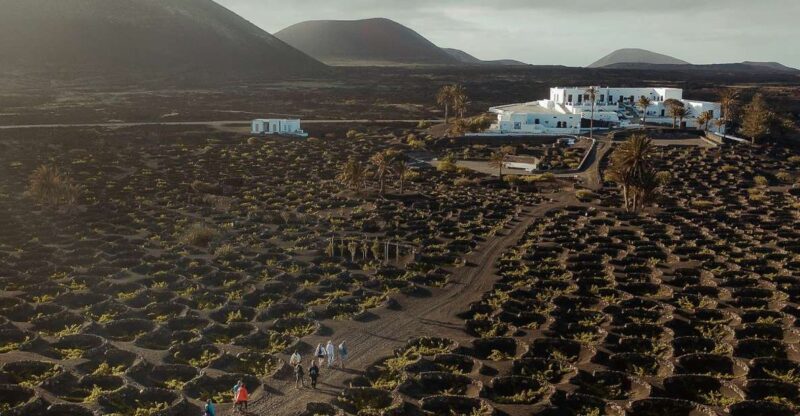 Lanzarote: Vineyard Tour with Wine and Chocolate Tasting - Lanzarote: Vineyard Tour with Wine and Chocolate Tasting — An Authentic Experience of the Island’s Wine Culture