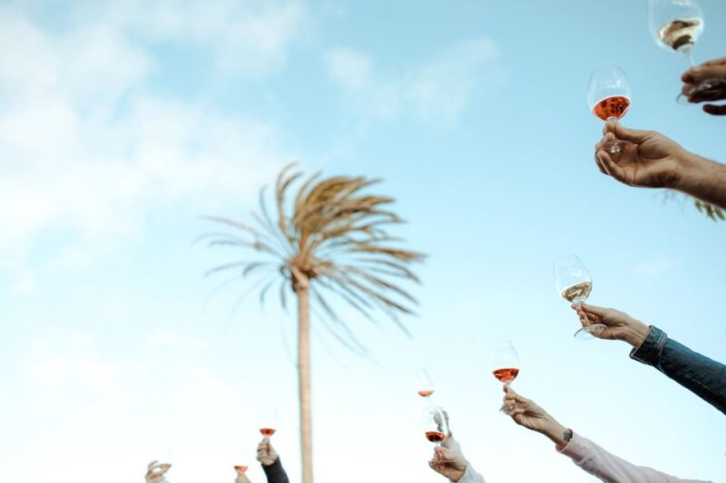 Lanzarote: Vineyard Tour with Wine and Chocolate Tasting - Practical Details and Accessibility