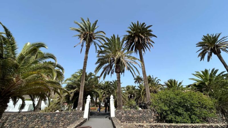 Lanzarote: VIP Island Grand Tour - From the Traditional Village of Uga to Lanzarote’s Volcanic Center