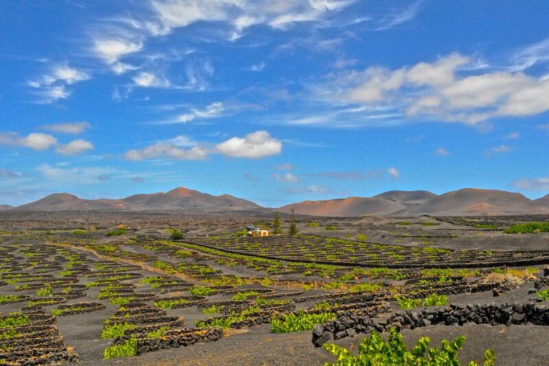 Lanzarote: Volcanos of Timanfaya and Caves Tour with Lunch - Lanzarote: Volcanos of Timanfaya and Caves Tour with Lunch — A Complete Day of Volcanoes and Scenic Highlights