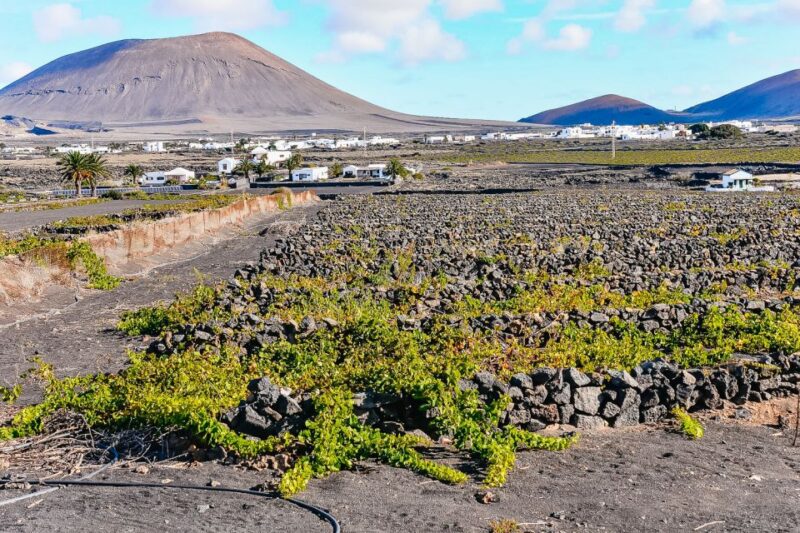 Lanzarote: Volcanos of Timanfaya and Caves Tour with Lunch - Practical Details and Logistics of the Tour