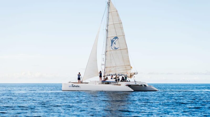 Lanzarote: Whale and Dolphin Watching Eco-Friendly Catamaran - Snacks and Beverages Inspired by Local Flavors