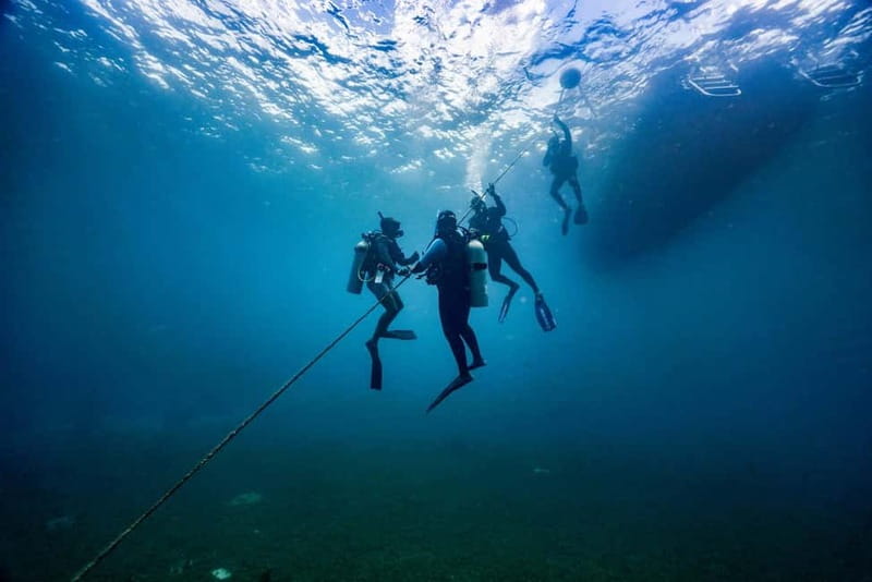 Lanzarote Your First Scuba Diving Experience - The Role of Experienced Guides and Personalized Attention