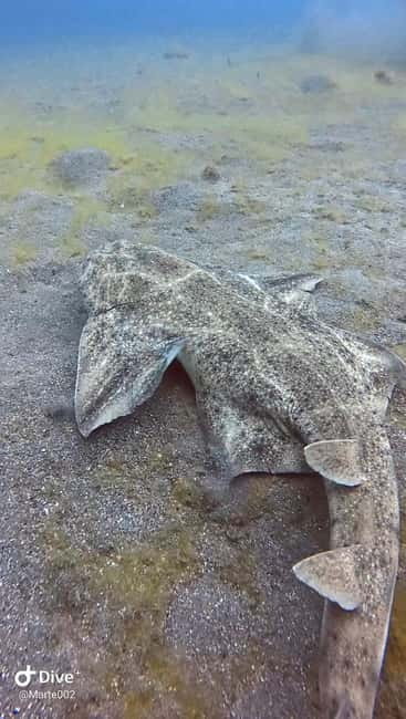 Lanzarote Your First Scuba Diving Experience - What Equipment and Extras Are Included?