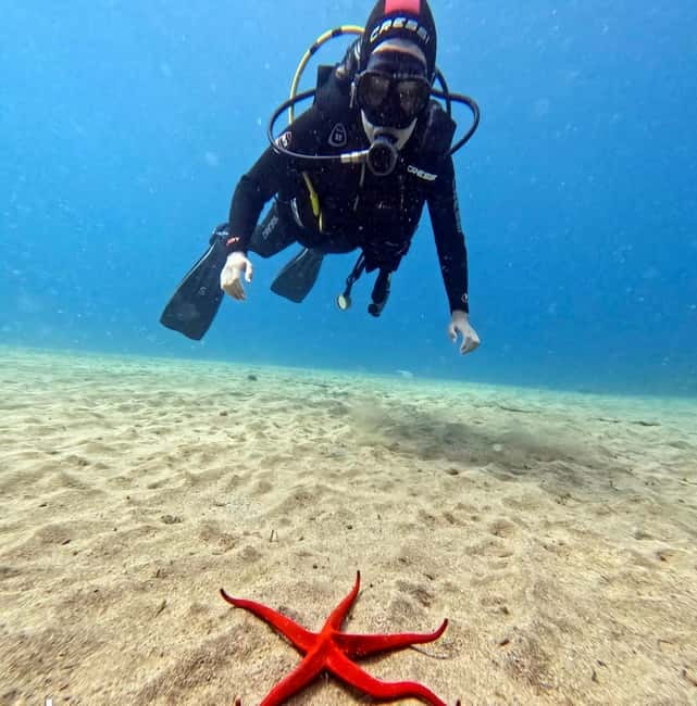 Lanzarote Your First Scuba Diving Experience - Highly Praised Guides and Instructors