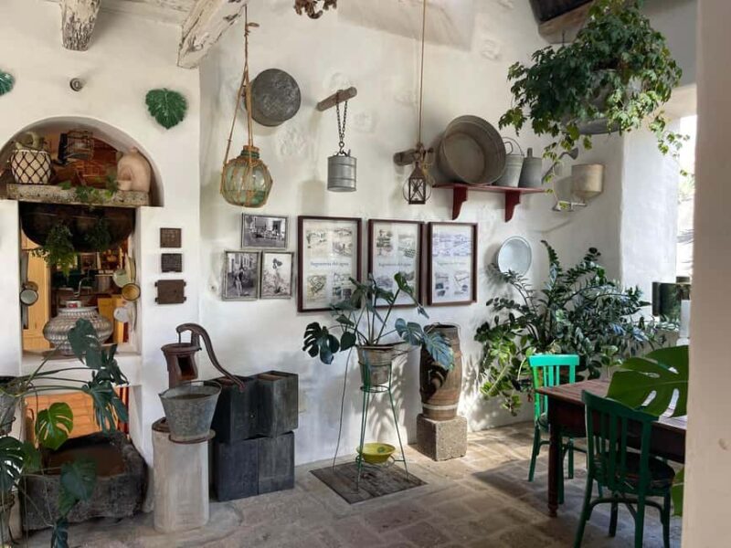 Lanzarote:"The Soul of the wine" Tour: Taste of winemaking - Discover Lanzarotes Unique Winemaking Culture in a 4-Hour Tour