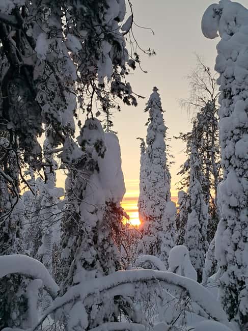 Lapland: A Day at a Traditional Log Cabin & Snowshoe Trek - Key Points