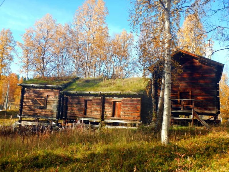 Lapland: A day on the trail of the Sami indigenous people - Scenic Drive to Ammarnäs and Town Highlights