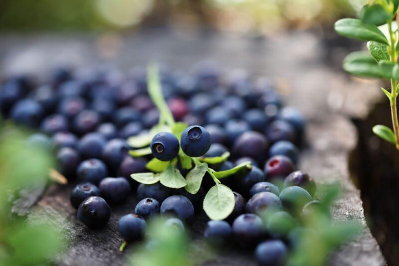 Lapland Cooking Workshop - What Participants Can Expect During the 4-Hour Class