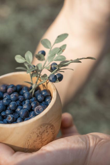 Lapland Cooking Workshop - Frequently Asked Questions